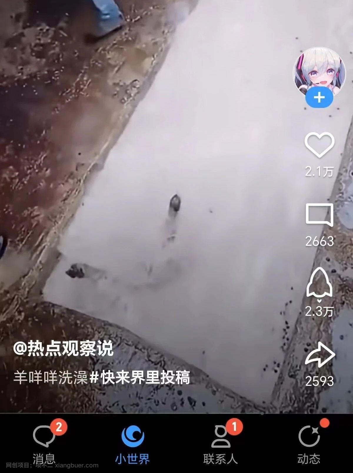 QQ小世界短视频项目：无脑搬运，万播放20-50元，单号单日300+，很多人还不知道怎么