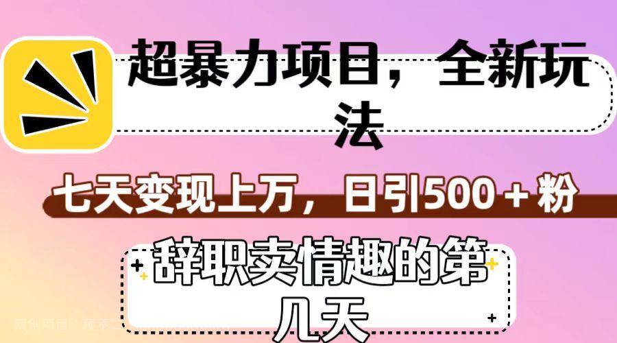 【第6723期】超暴利项目，全新玩法（辞职卖情趣的第几天），七天变现上万，日引500+粉