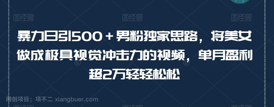 【第6793期】暴力日引500＋男粉独家思路，将美女做成极具视觉冲击力的视频，单月盈利超2万轻轻松松