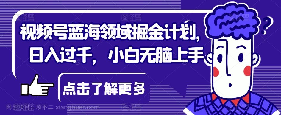 【第6842期】视频号蓝海领域掘金计划，日入过千，小白无脑上手【揭秘】