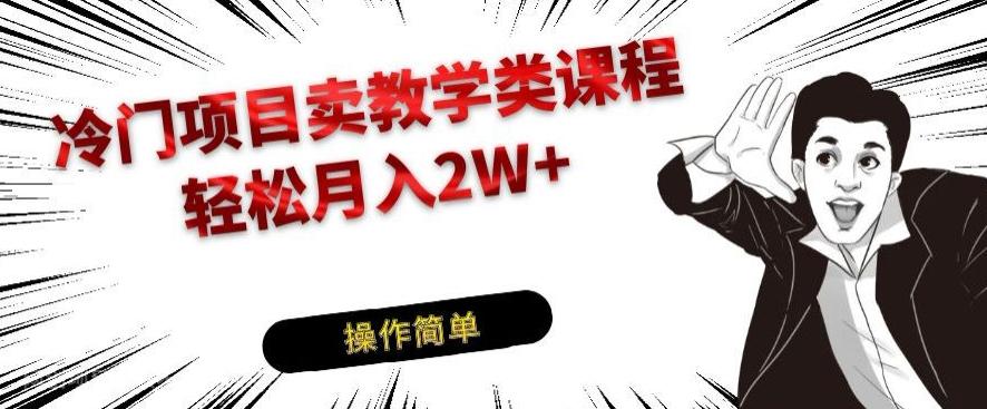 【第6862期】冷门项目卖教学类课程，轻松月入2W+