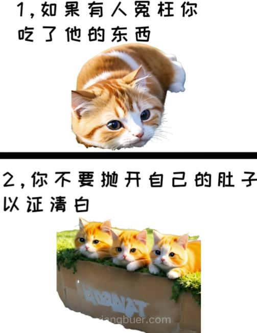 【第7019期】治愈系萌猫加+黑鸡汤文案，小红书商单玩法，3~10天涨到1000粉，一单200左右