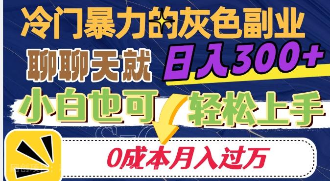 【第7082期】冷门暴利的副业项目，聊聊天就能日入300+，0成本月入过万【揭秘】