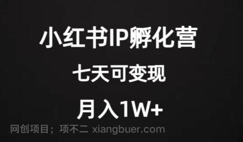 【第7084期】价值2000+的小红书IP孵化营项目，超级大蓝海，七天即可开始变现，稳定月入1W+