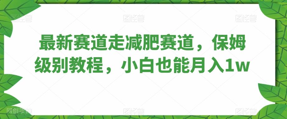 【第7170期】最新赛道走减肥赛道，保姆级别教程，小白也能月入1w