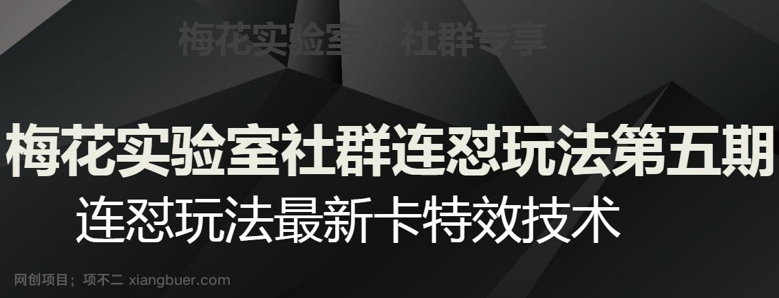 【第7172期】梅花实验室社群连怼玩法第五期，视频号连怼玩法最新卡特效技术