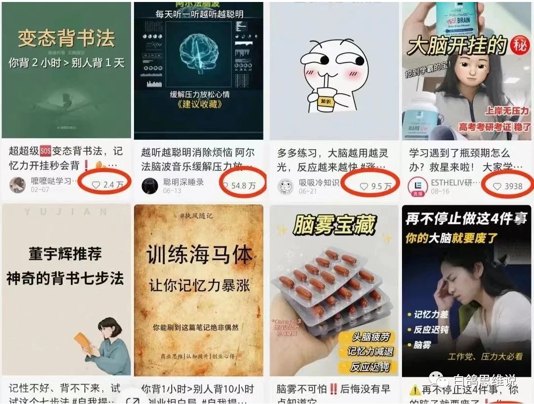 提升记忆力课程，开启蓝海虚拟资源项目，成交轻松，多种变现方式，月入过万不再是幻想