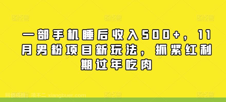 【第7443期】一部手机睡后收入500+，11月男粉项目新玩法，抓紧红利期过年吃肉