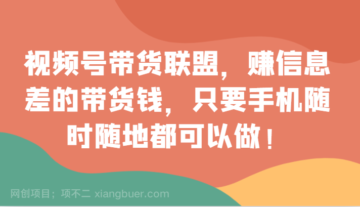  【第8738期】视频号带货联盟，赚信息差的带货钱，只需手机随时随地都可以做！