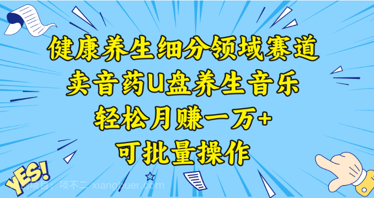 【第9579期】健康养生细分领域赛道，卖音药U盘养生音乐，轻松月赚一万+，可批量操作