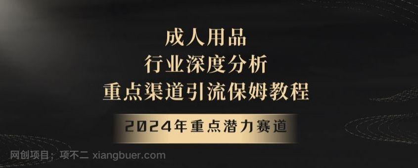 【第9610期】2024年重点潜力赛道，成人用品行业深度分析，重点渠道引流保姆教程【揭秘】