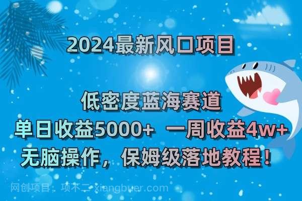 【第9662期】2024最新风口项目 低密度蓝海赛道，日收益5000+周收益4w+ 无脑操作