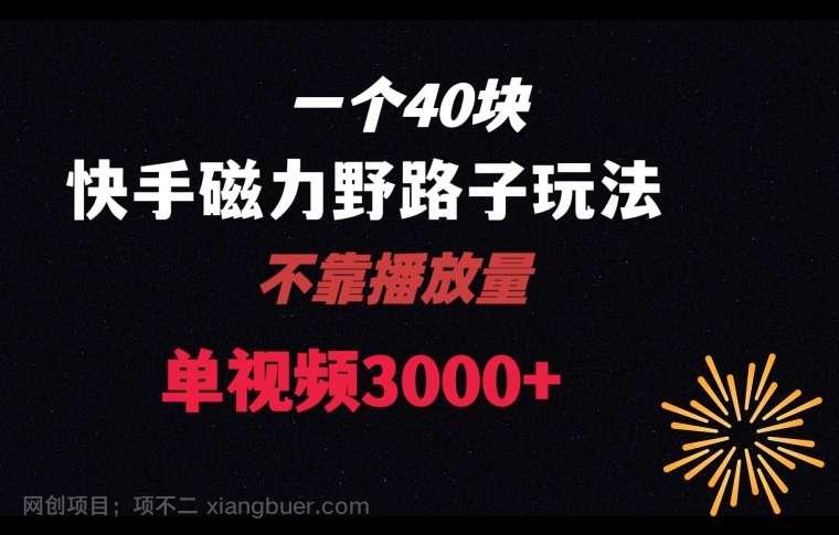 【第9735期】一个40块，快手联合美团磁力新玩法，无视机制野路子玩法，单视频收益4位数【揭秘】