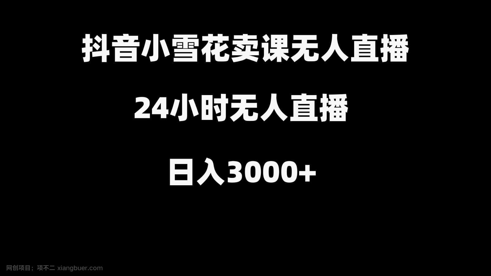 【第10052期】抖音小雪花卖缝补收纳教学视频课程，无人直播日入3000+