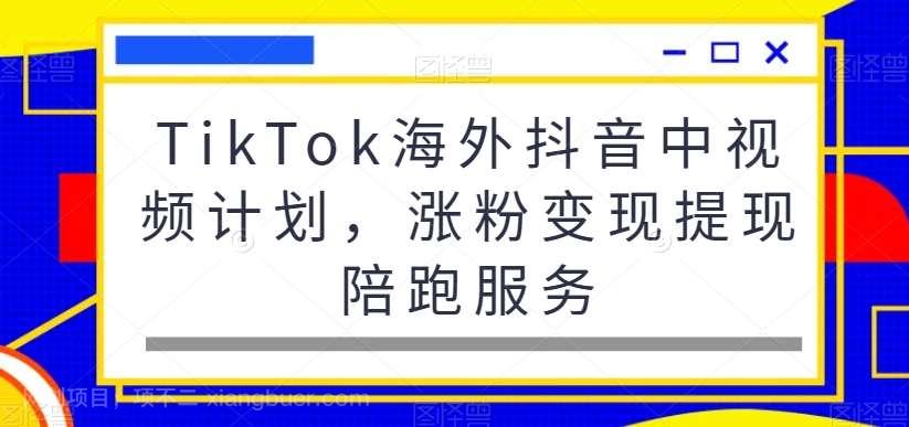 【第10111期】TikTok海外抖音中视频计划，涨粉变现提现陪跑服务