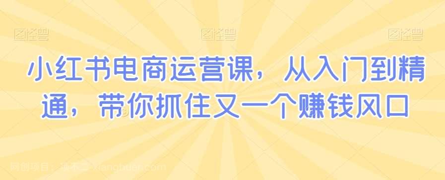 【第10617期】小红书电商运营课，从入门到精通，带你抓住又一个赚钱风口