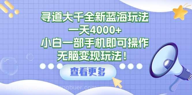 【第11357期】寻道大千全新蓝海玩法，一天4000+，小白一部手机即可操作，无脑变现玩法！