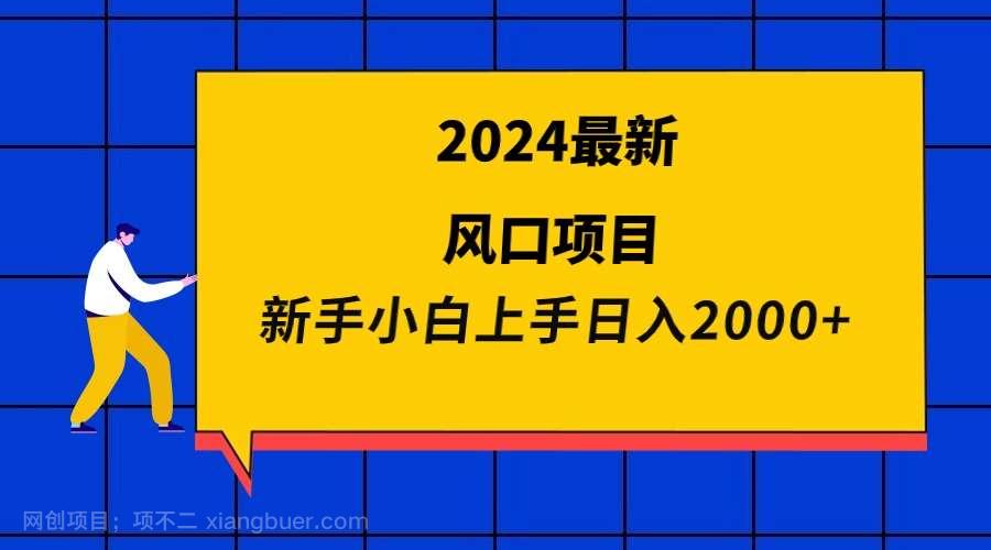 【第11361期】2024最新风口项目 新手小白日入2000+ 