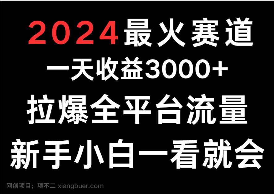  【第12109期】2024最火赛道，一天收一3000+.拉爆全平台流量，新手小白一看就会