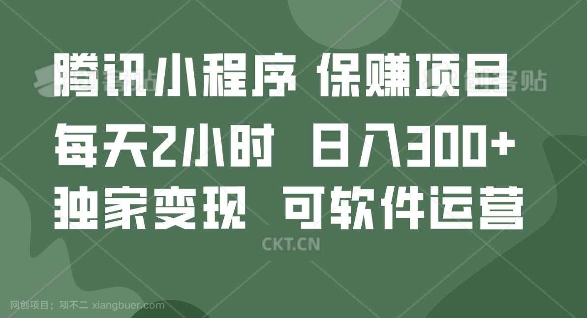 【第11738期】腾讯官方项目，可软件自动运营，稳定有保障，时间自由，永久售后，日均收益100-500+