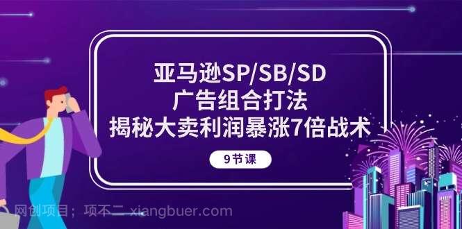 【第11919期】亚马逊SP/SB/SD广告组合打法，揭秘大卖利润暴涨7倍战术 (9节课)