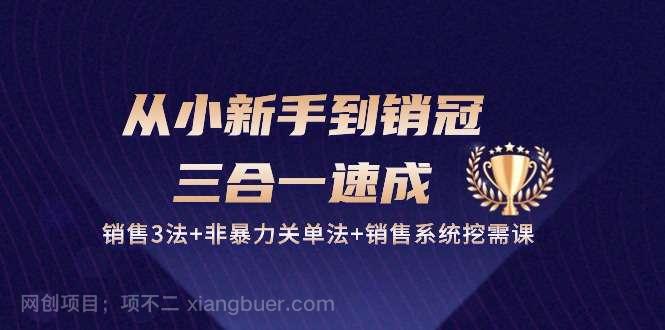 【第12091期】从小新手到销冠三合一速成：销售3法+非暴力关单法+销售系统挖需课 (27节) 