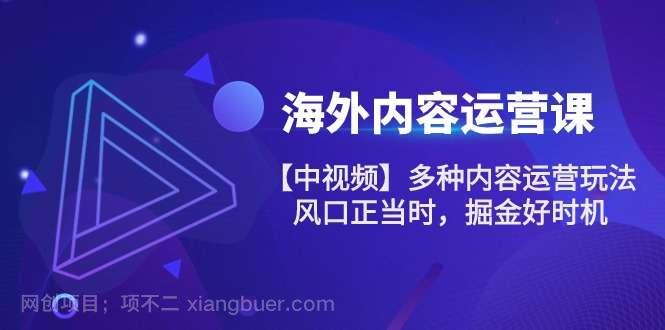 【第12129期】海外内容 运营课【中视频】多种内容运营玩法 风口正当时 掘金好时机-101节