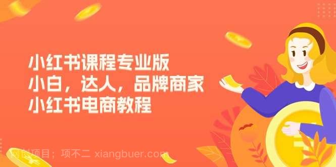 【第12445期】小红书课程专业版，小白，达人，品牌商家，小红书电商教程（15节）