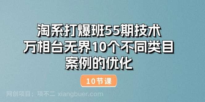 【第12463期】淘系打爆班55期技术：万相台无界10个不同类目案例的优化（10节）