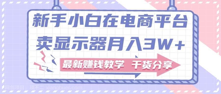 【第12510期】新手小白如何做到在电商平台卖显示器月入3W+，最新赚钱教学干货分享