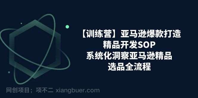 【第12695期】亚马逊爆款打造之精品开发SOP【训练营】，系统化洞察亚马逊精品选品全流程