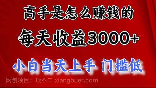 【第12721期】高手是怎么赚钱的，一天收益3000+ 这是穷人逆风翻盘的一个项目