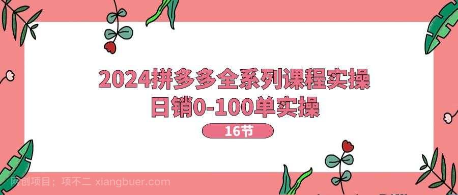 【第12715期】2024拼多多全系列课程实操，日销0-100单实操【16节课】