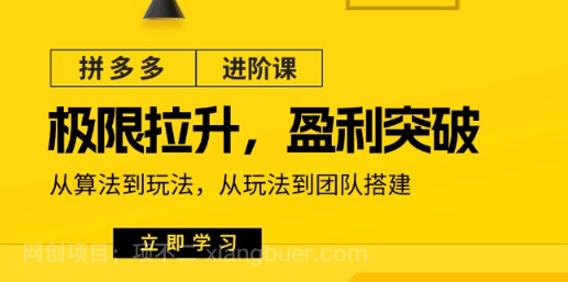 【第12967期】拼多多·进阶课：极限拉升/盈利突破：从算法到玩法 从玩法到团队搭建-18节