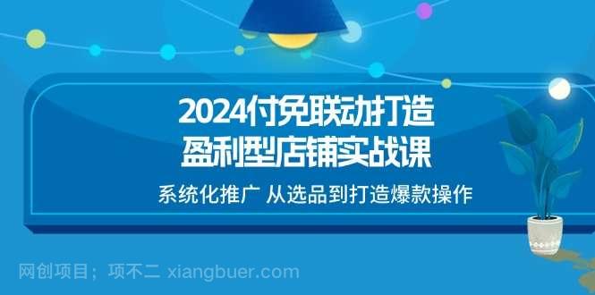 【第12987期】 2024付免联动打造盈利型店铺实战课，系统化推广 从选品到打造爆款操作