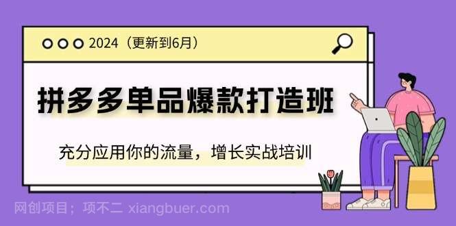 【第12691期】2024拼多多单品爆款打造班，充分应用你的流量，增长实战培训(更新6月)