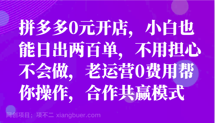 【第12736期】最新拼多多优质项目小白福利，两天销量过百单，不收费、老运营代操作