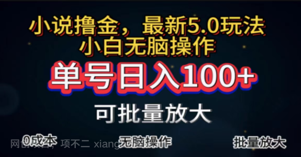 【第12757期】全自动小说撸金，单号日入100+小白轻松上手，无脑操作