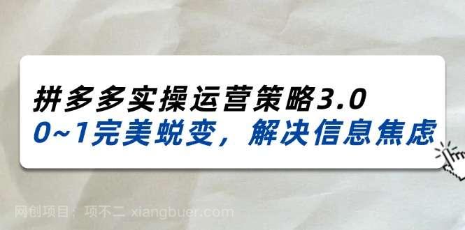 【第12763期】2024-2025拼多多实操运营策略3.0，0~1完美蜕变，解决信息焦虑（38节）