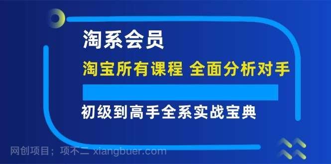 【第13113期淘系会员初级到高手全系实战宝典【淘宝所有课程，全面分析对手】