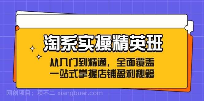 【第13292期】淘系实操精英班：从入门到精通，全面覆盖，一站式掌握店铺盈利秘籍