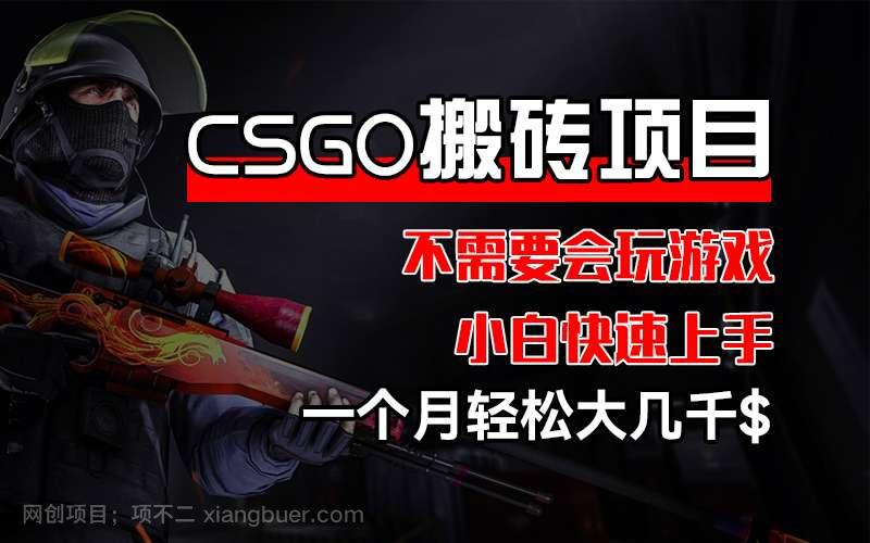 【第13341期】CSGO 装备搬砖项目，操作简单，不需要会玩游戏，小白也能快速上手