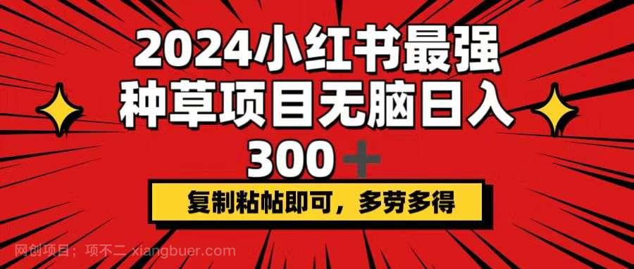 【第13352期】2024小红书最强种草项目，无脑日入300+，复制粘帖即可，多劳多得