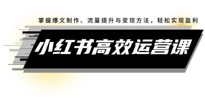 【第13396期】小红书高效运营课：掌握爆文制作、流量提升与变现方法，轻松实现盈利