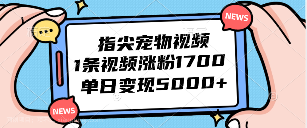 【第13527期】指尖宠物视频，1条视频涨粉1700，单日变现5000+