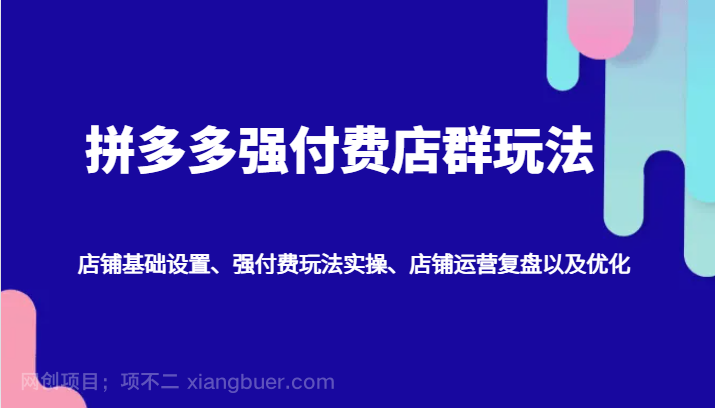 【第13659期】拼多多强付费店群玩法：店铺基础设置、强付费玩法实操、店铺运营复盘以及优化