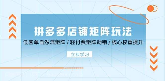 【第13710期】拼多多店铺矩阵玩法：低客单自然流矩阵 / 轻付费矩阵 动销 / 核心权重提升