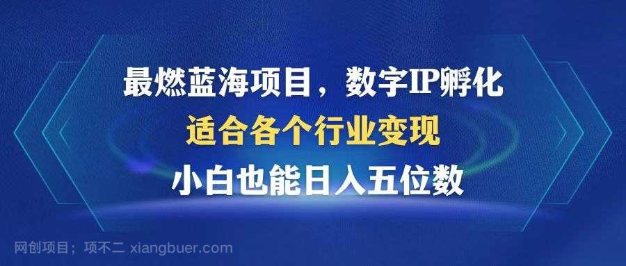 【第13968期】最燃蓝海项目 数字IP孵化 适合各个行业变现 小白也能日入5位数