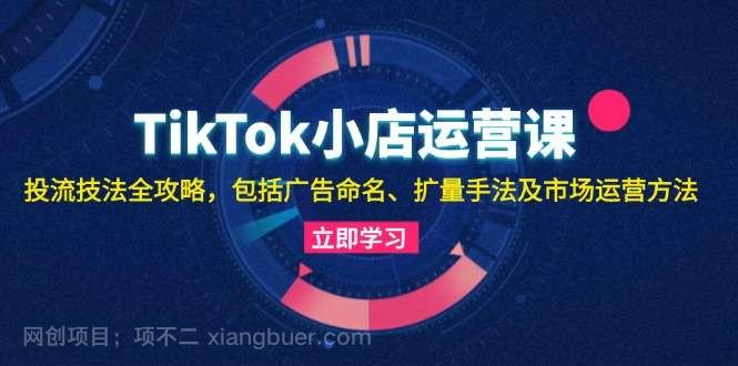 【第14136期】TikTok小店运营课：投流技法全攻略，包括广告命名 扩量手法及市场运营方法