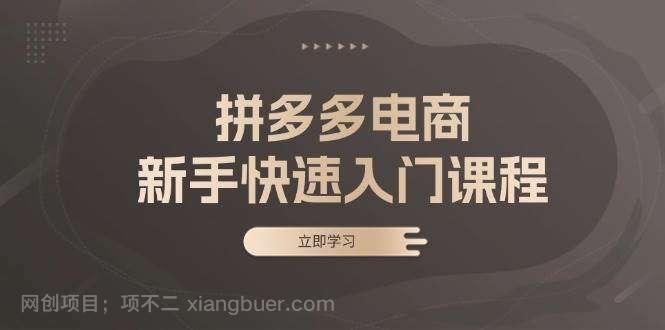 【第14361期】拼多多电商新手快速入门课程：涵盖基础、实战与选款，助力小白轻松上手